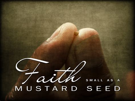 Faith like a mustard seed. Things To Know About Faith like a mustard seed. 